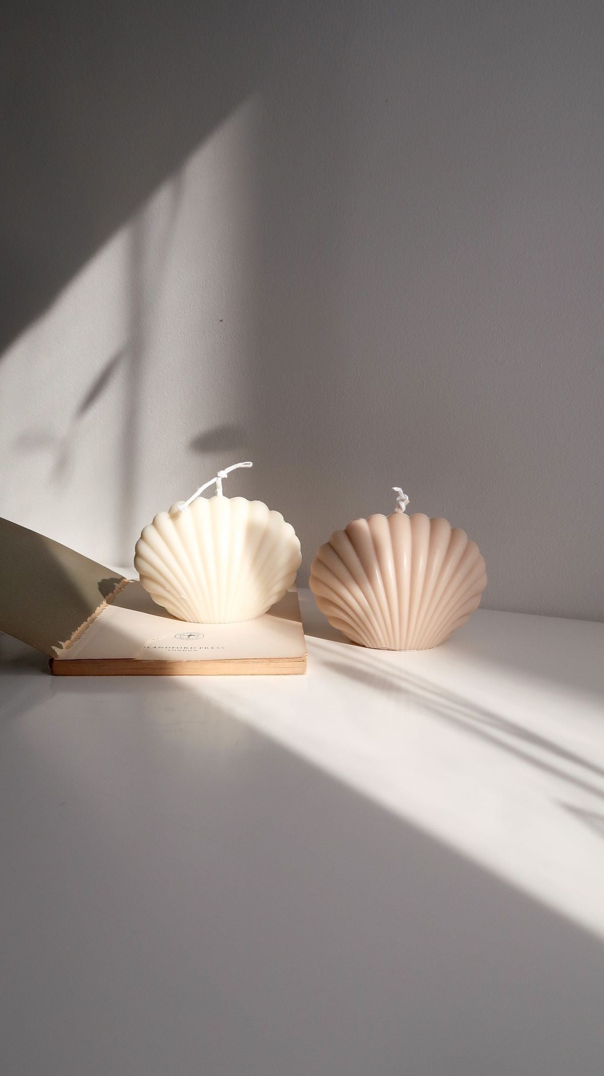 Shell Candle