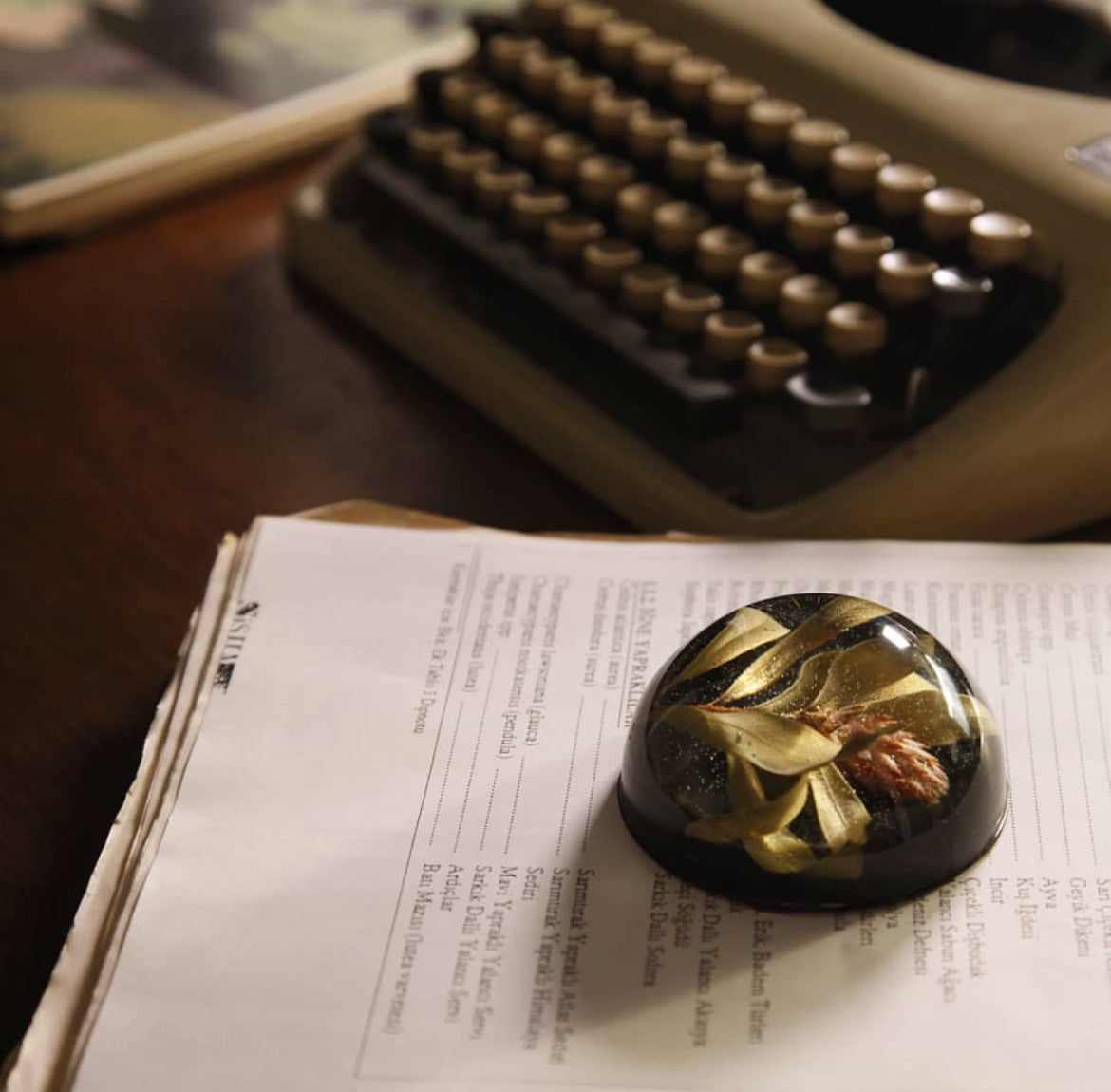 Resin Nature Paper-Weight