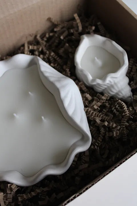 Sea Shell Candle Set