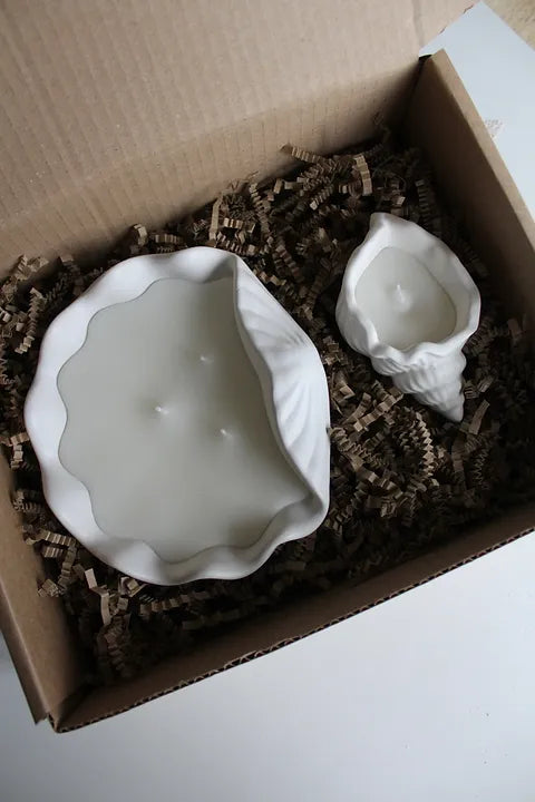 Sea Shell Candle Set