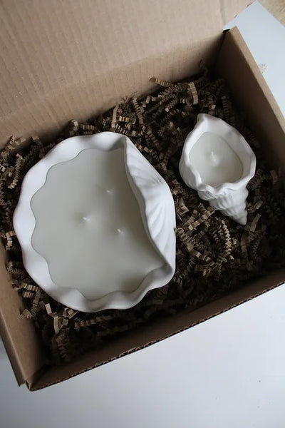Sea Shell Candle Set