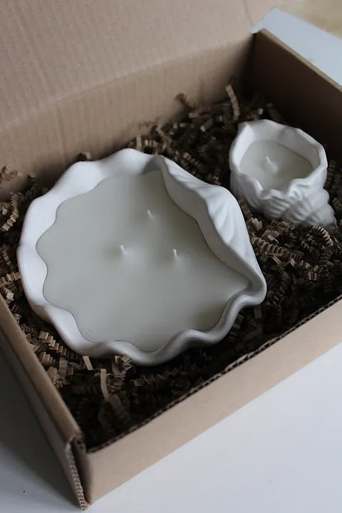Sea Shell Candle Set