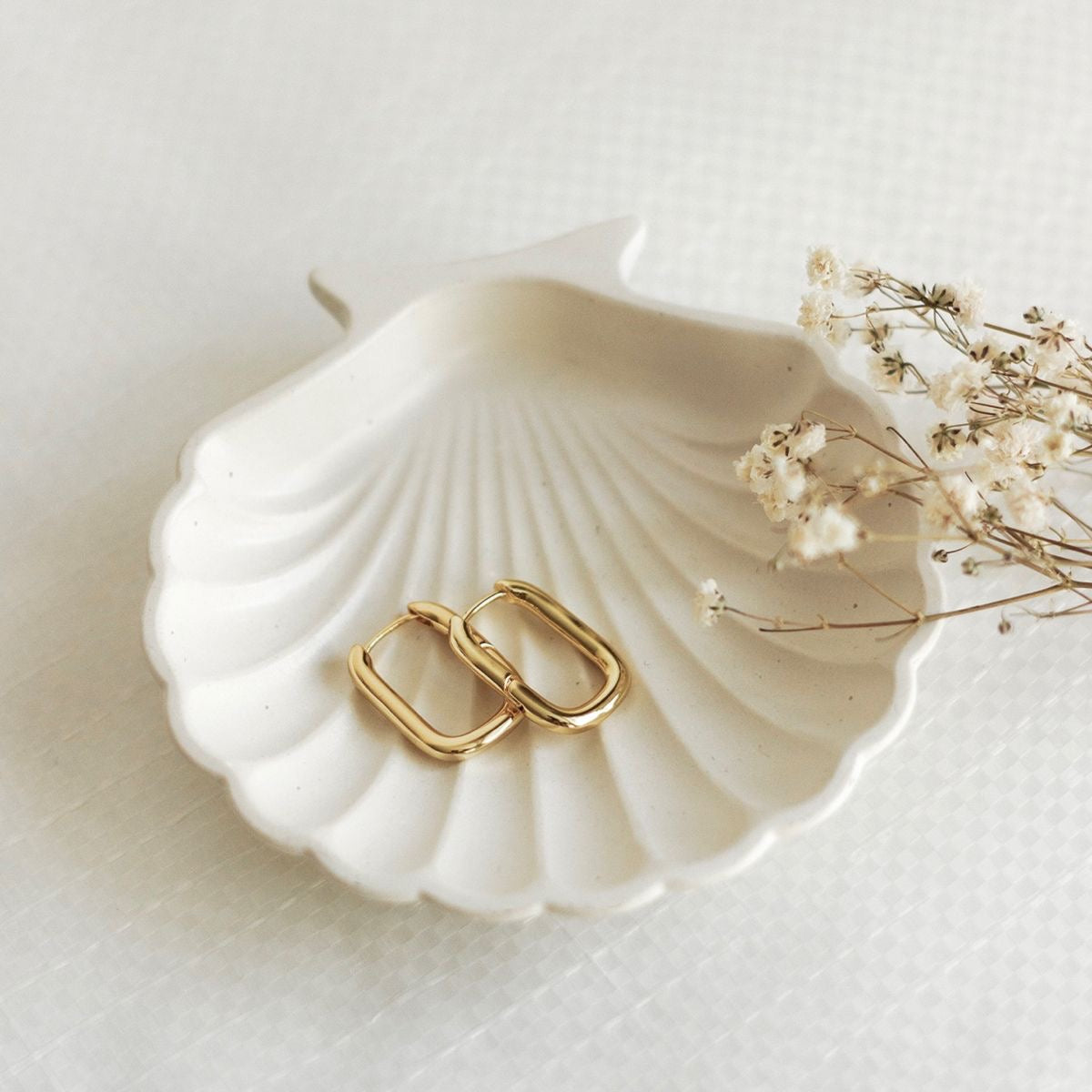 Aesthetic Shell Tray