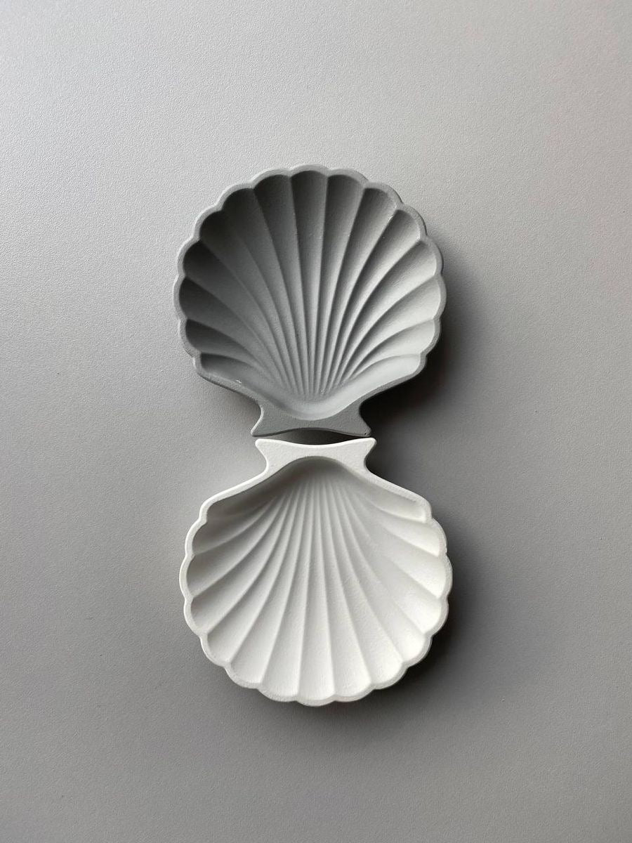 Aesthetic Shell Tray