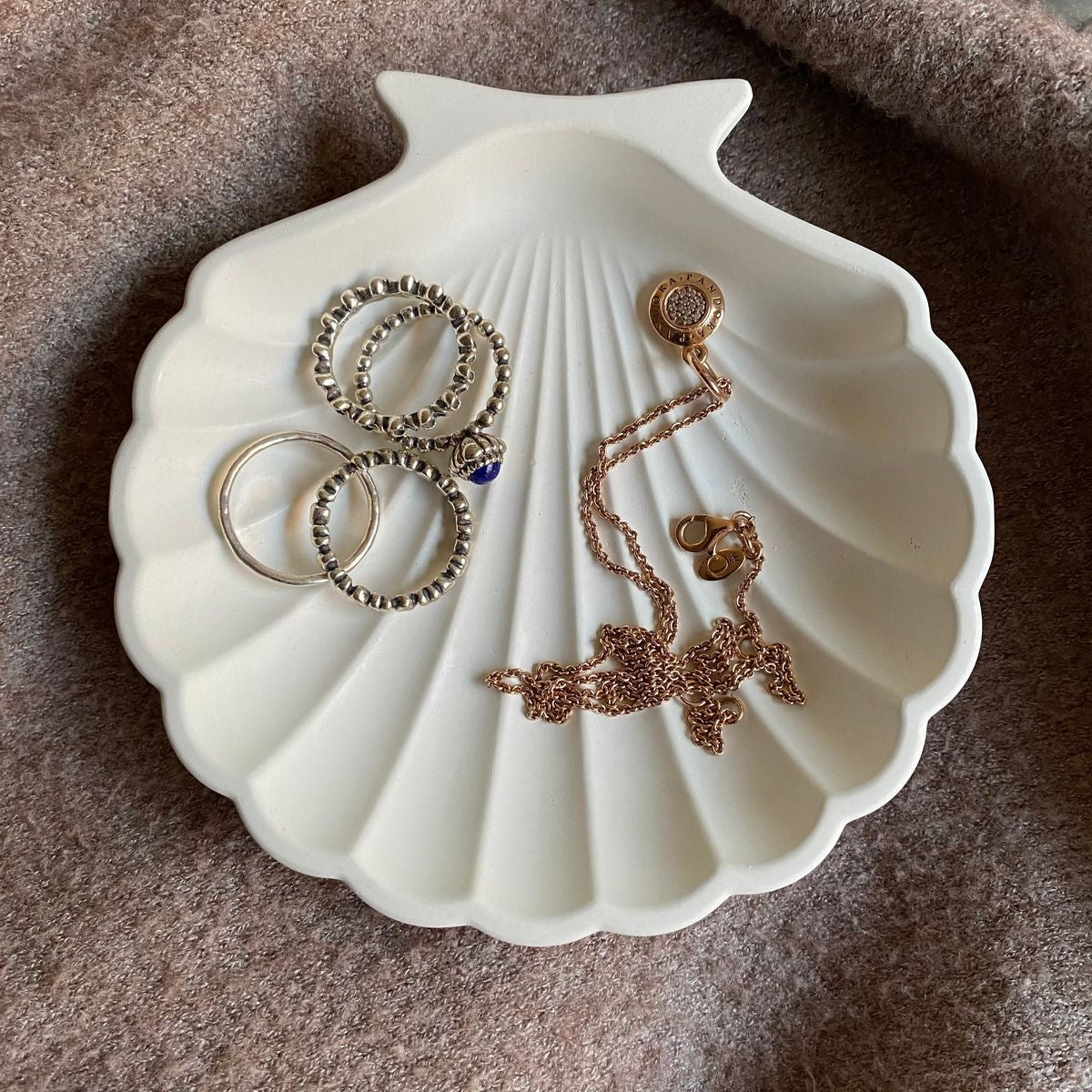 Aesthetic Shell Tray