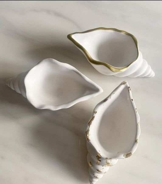 Conch Shell Tray