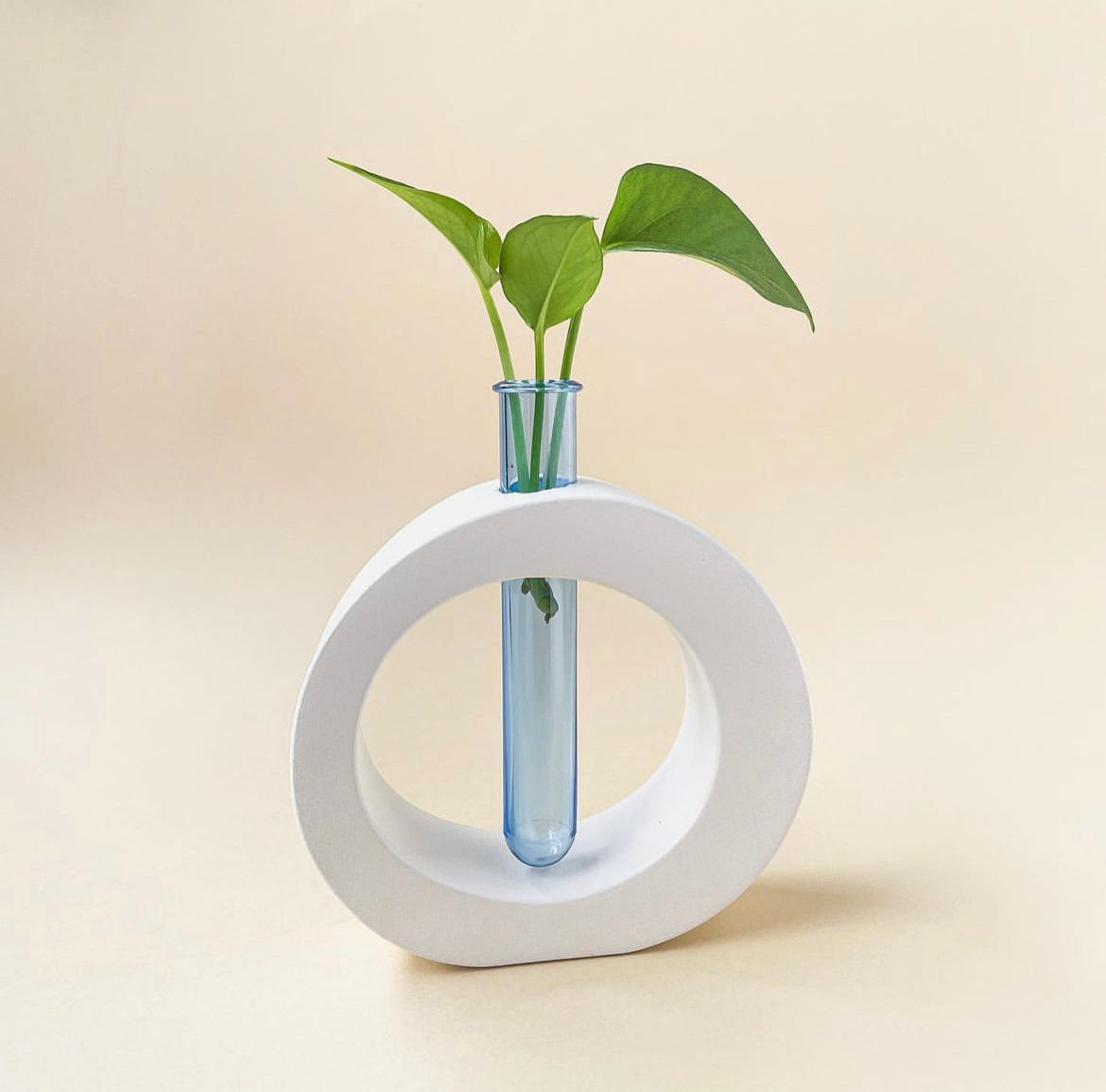 Aesthetic Tube Vase