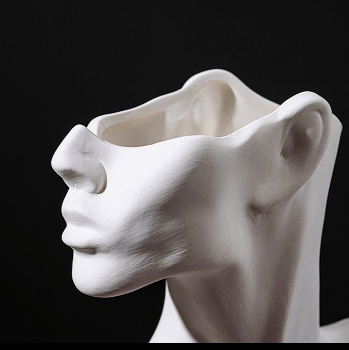 Face Flower Vase