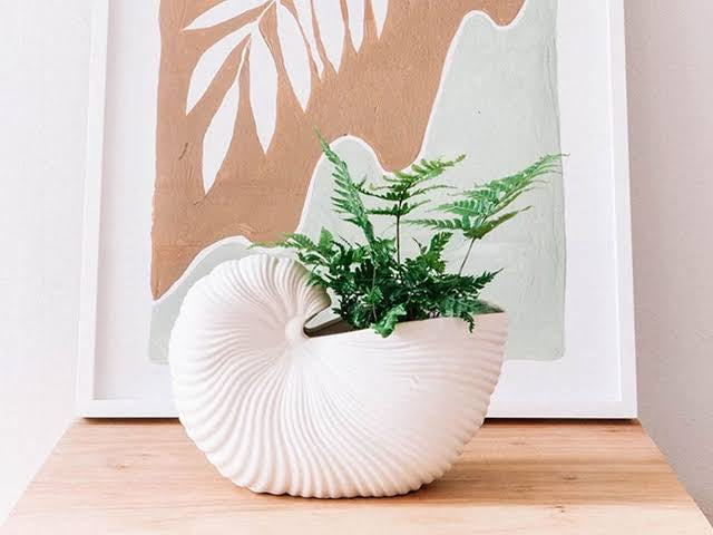 Mini Shell Vase