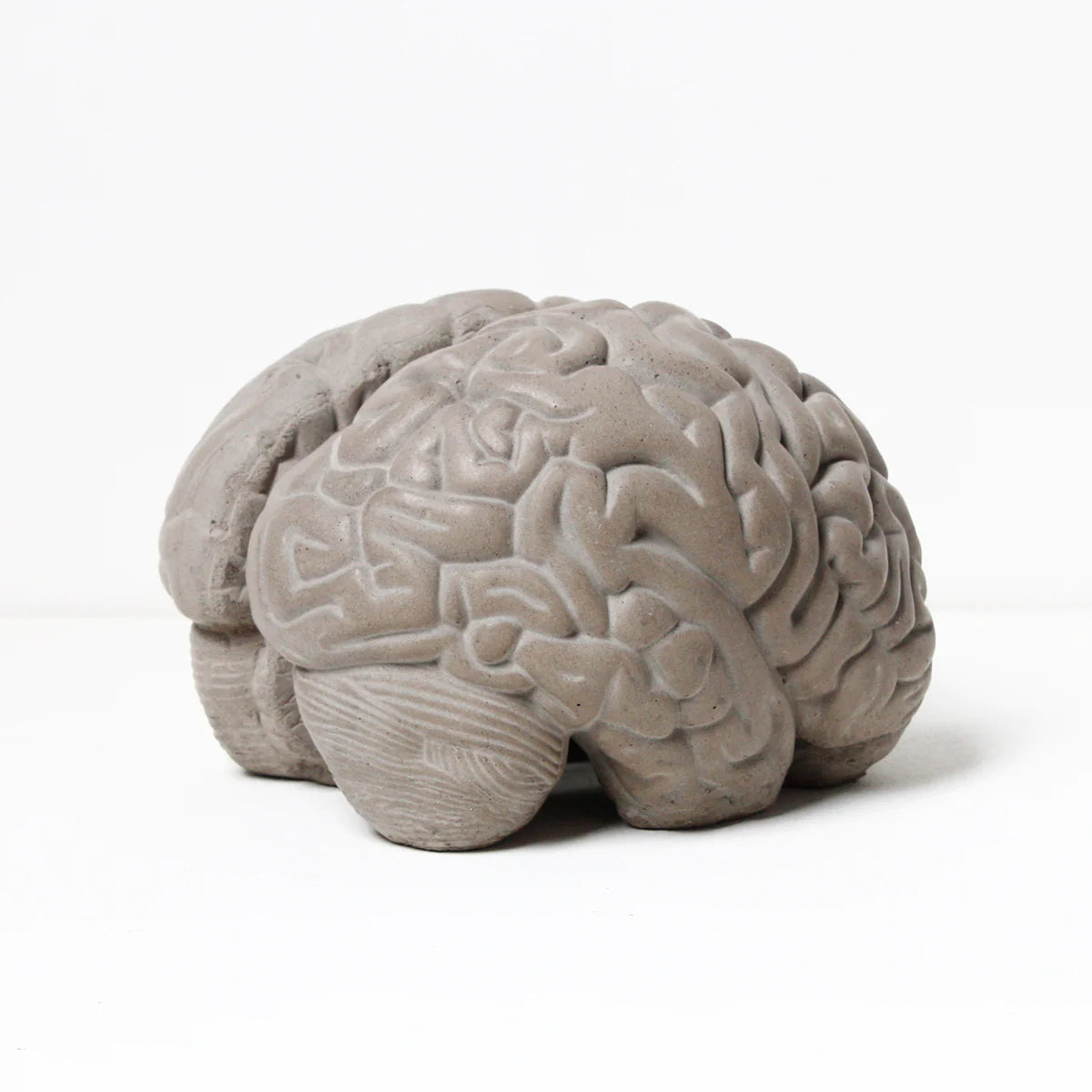 Brain Bookends ( Set of 2)